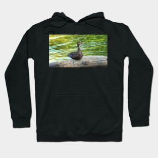 Female Mallard Duck Sitting On A Log Hoodie